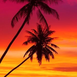 Meet your Posher, Ariel